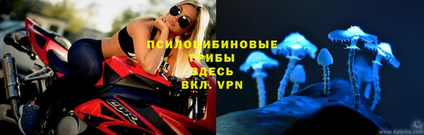 таблы Дмитровск