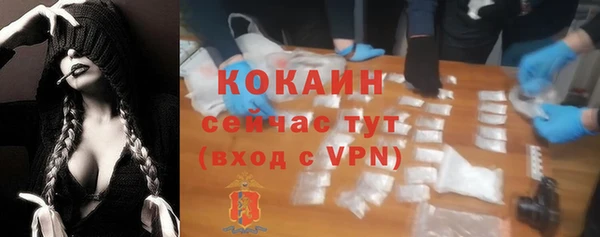 apvp Гусь-Хрустальный