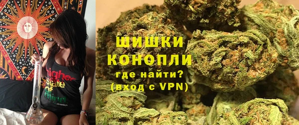 apvp Гусь-Хрустальный