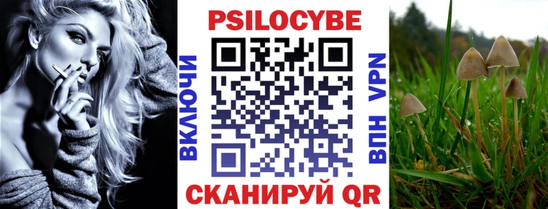 Галлюциногенные грибы Psilocybe  shop официальный сайт  Няндома 